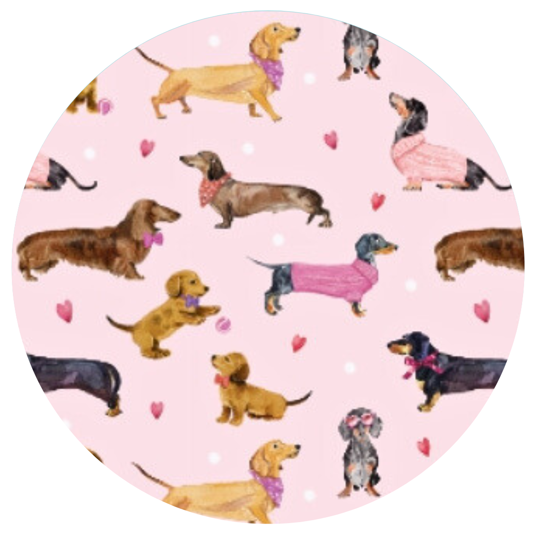 Doxie Rose