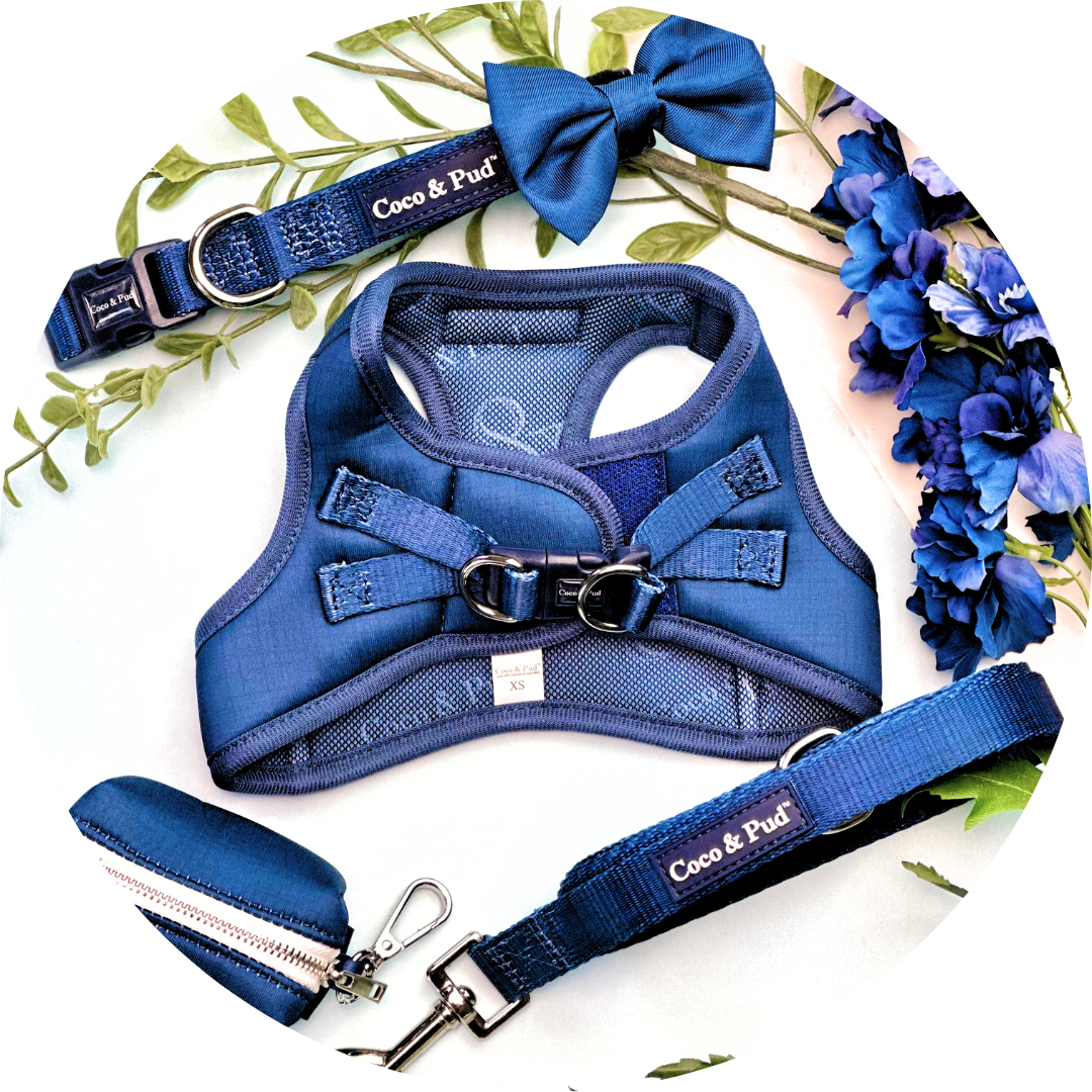 Essential Pup - Navy