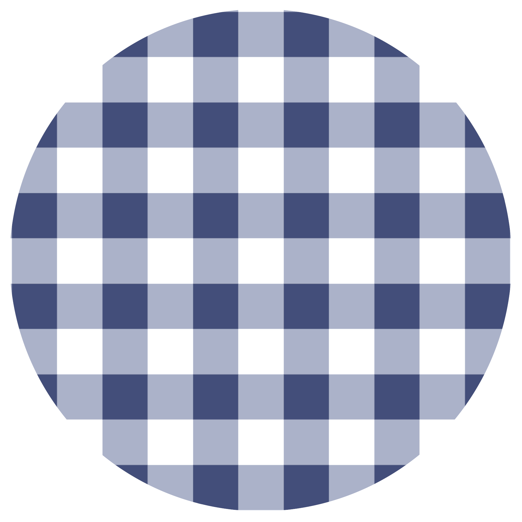 Coco & Pud Gingham French Navy Dog Collection