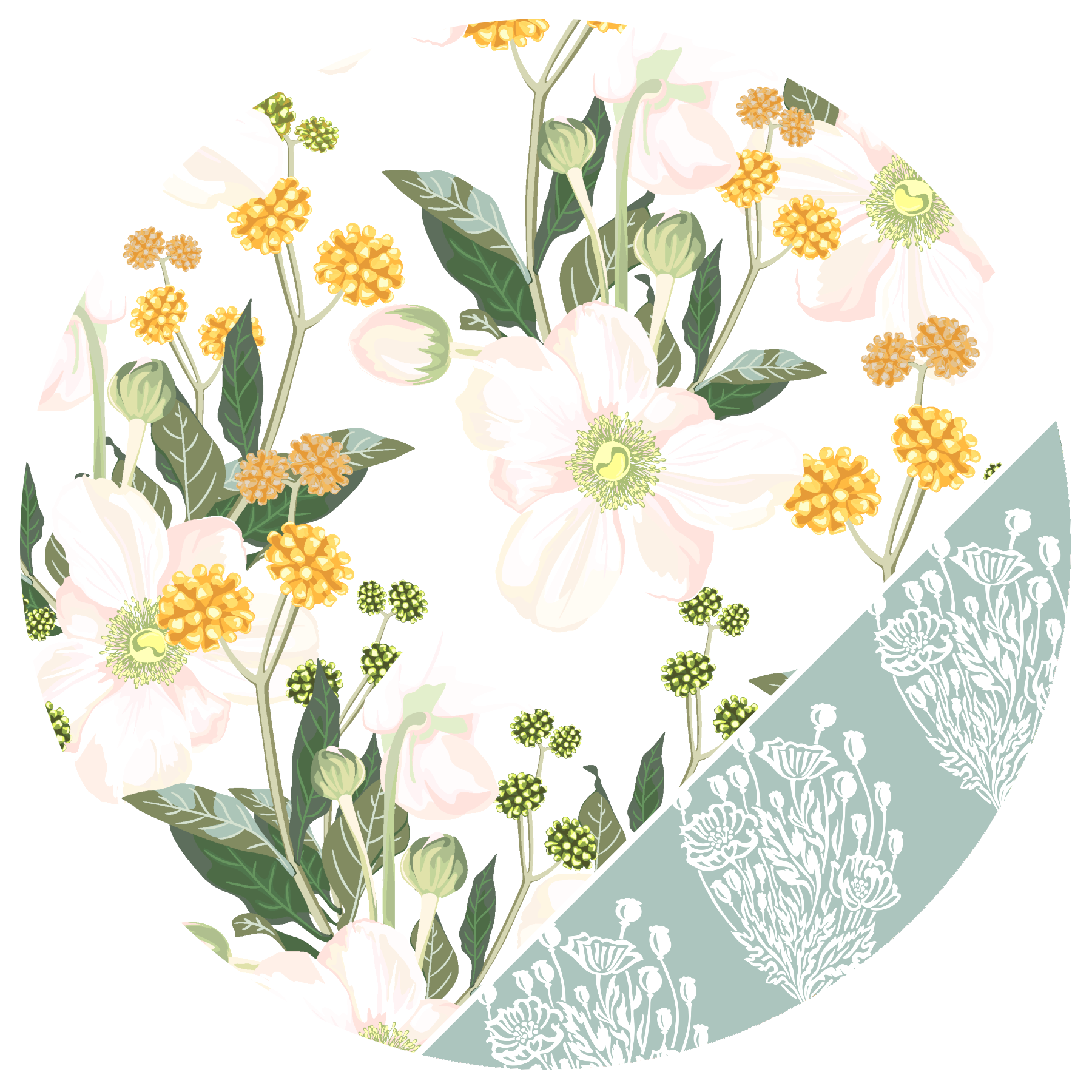 Windflower Design