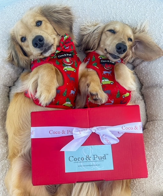 Coco & Pud Dog Christmas Hamper Mini - Deck the Paws