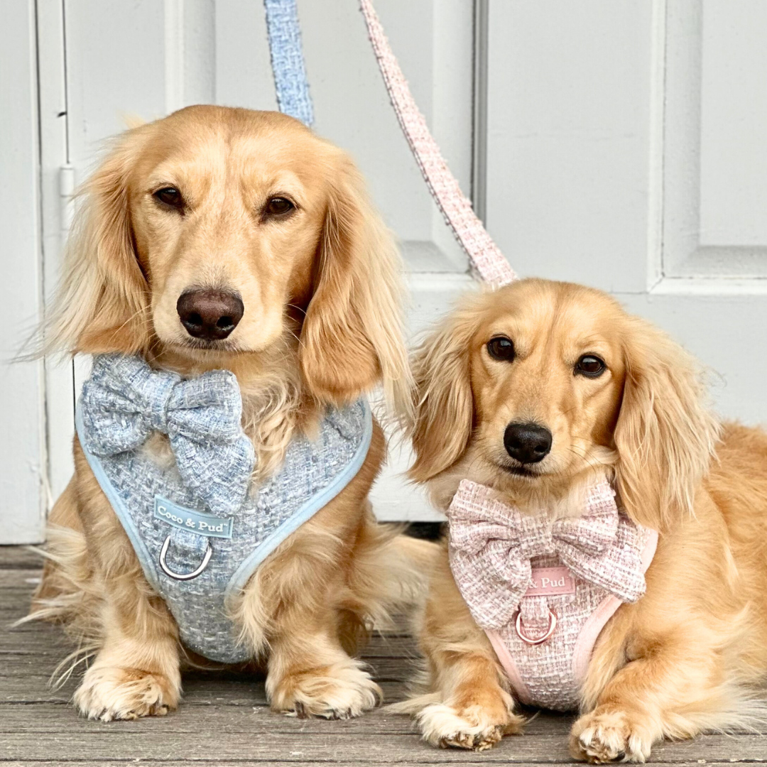 Boucle de Luxe Adjustable Dog Harness - Rose Blush