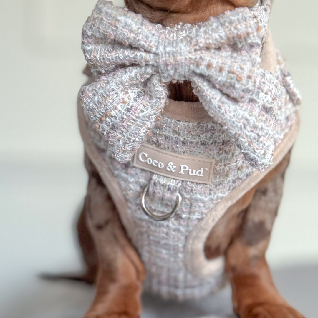 Boucle de Luxe Adjustable Dog Harness - Timeless Taupe