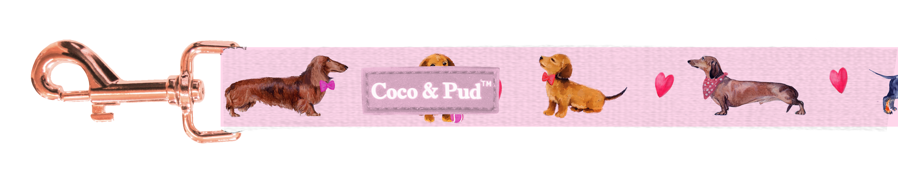 Coco & Pud Doxie Rose Cat Lead