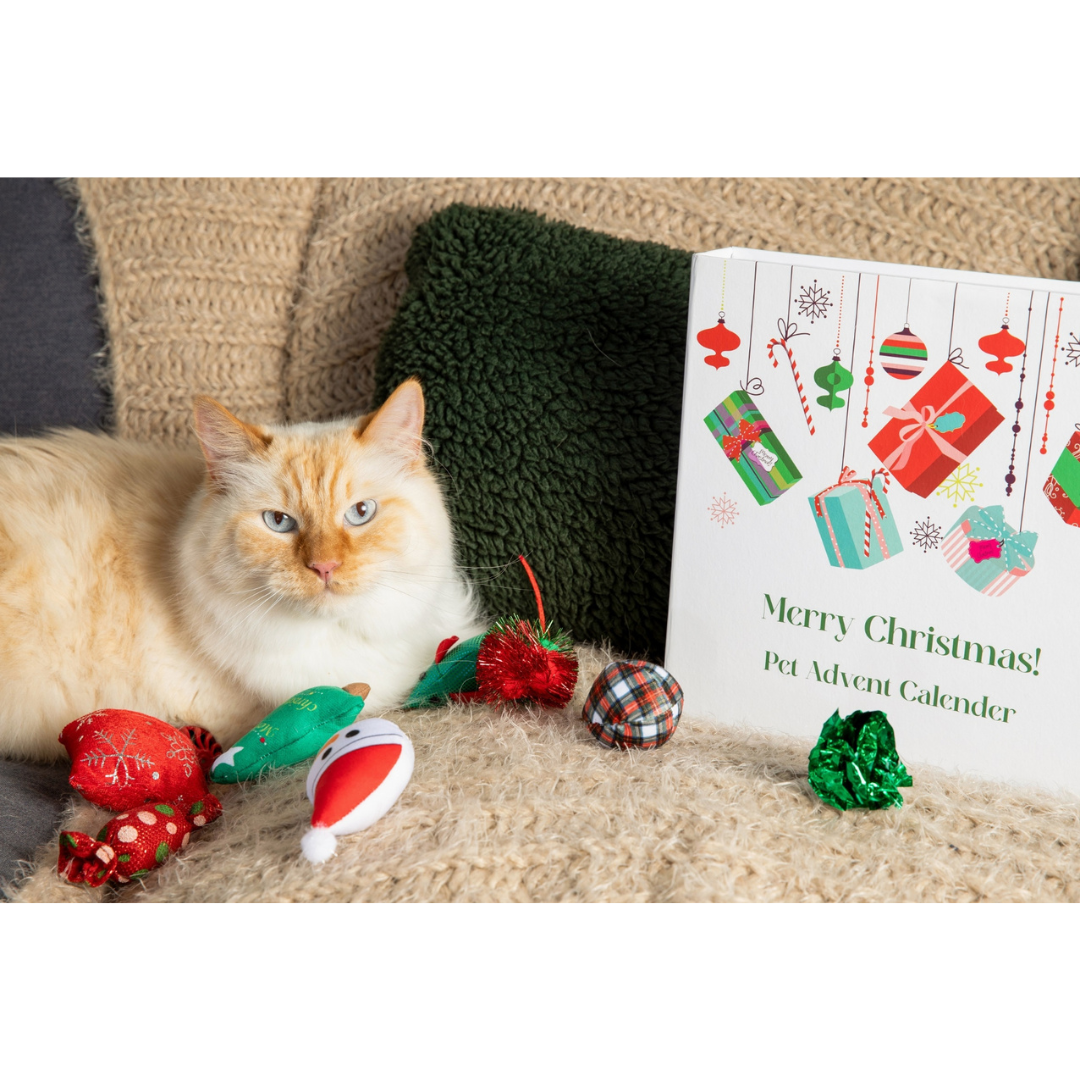 Christmas Advent Calendar for Cats
