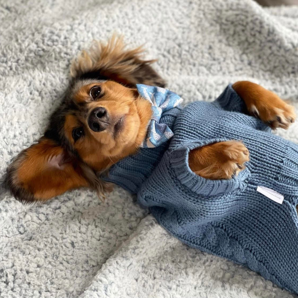 Coco & Pud Coco Cable Dog Sweater/ Dog Jumper - Boathouse Blue