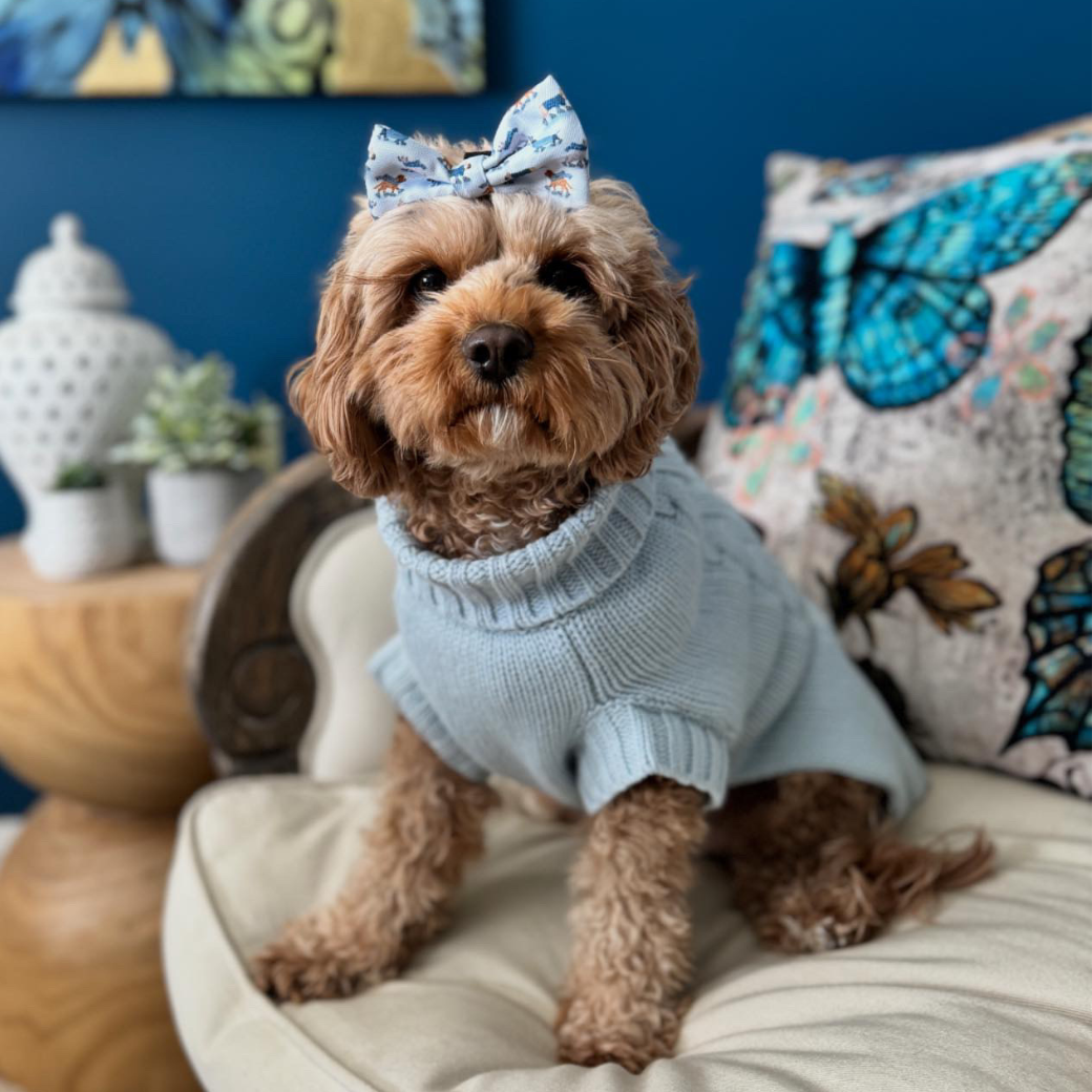 Coco & Pud Coco Cable Dog Sweater/ Dog Jumper - Powder Blue