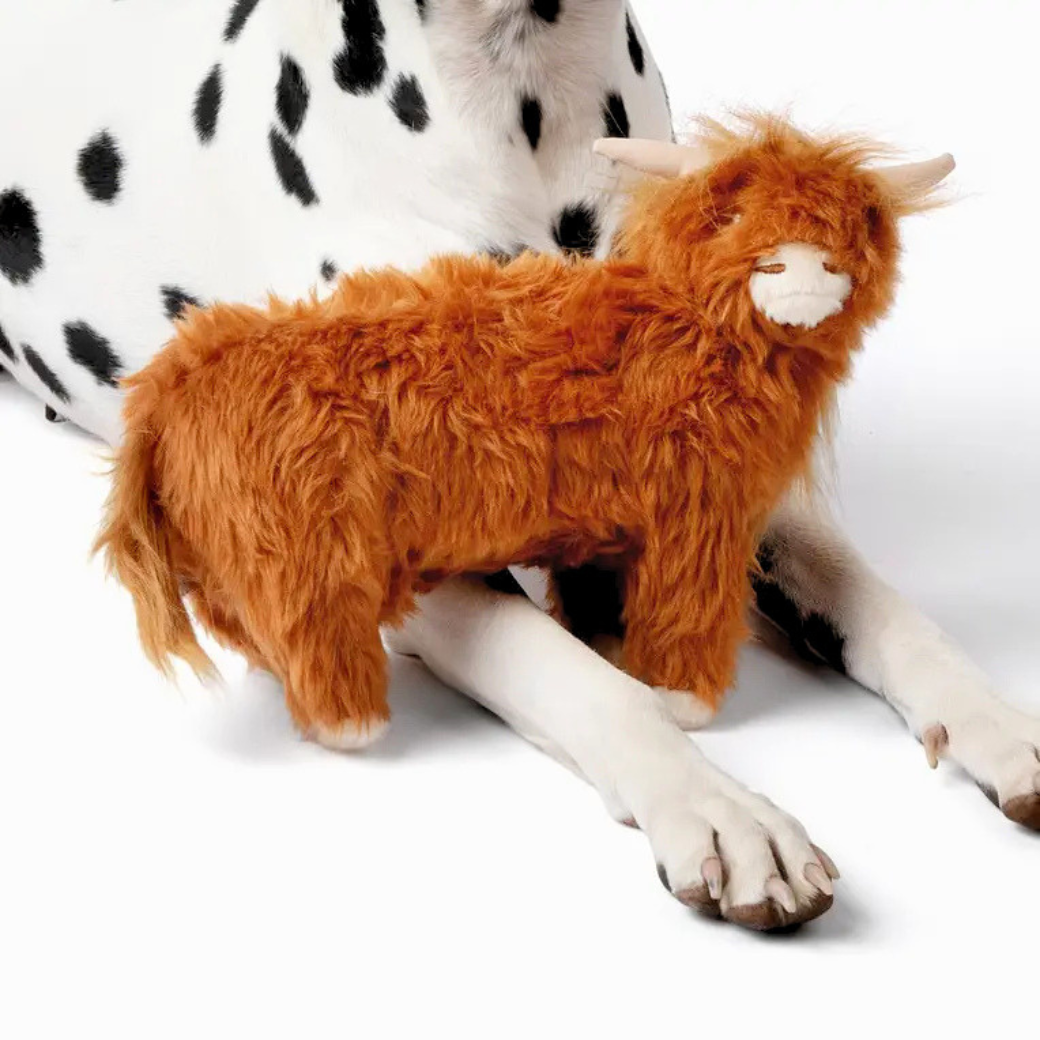 Coco & Pud - Standing Highland Cow dog toy is a fluffy Highland cow plush toy in warm reddish-brown with white horns, muzzle, and hooves. Toy is standing over the front leg of a Dalmation dog- Midlee Designs