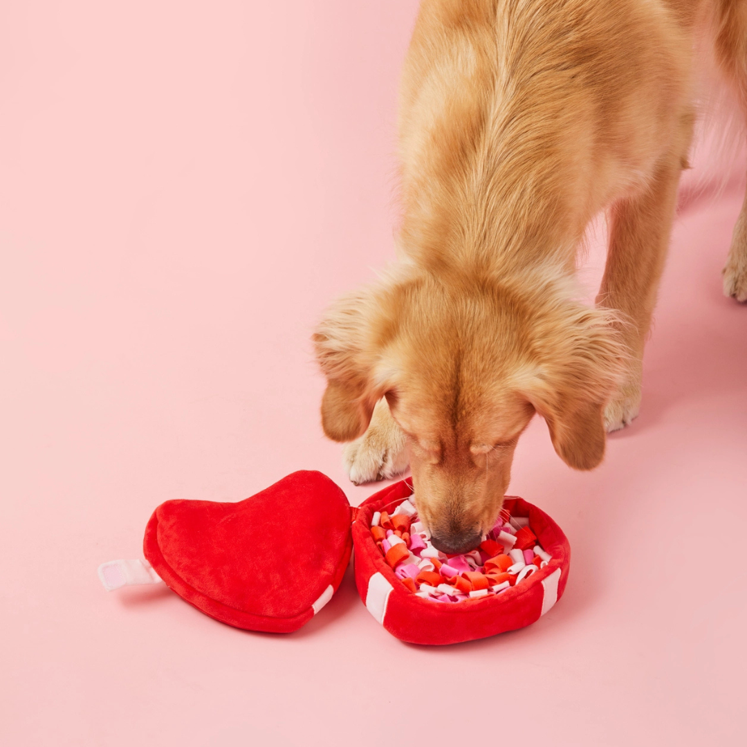 Be My Valentine Interactive Snuffle Dog Toy