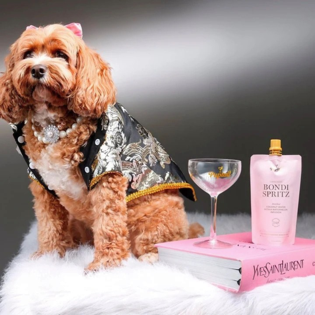 Coco& Pud Bondi Spritz Distilled Coconut Water and Watermelon infusion dog tonic mocktail with Cavoodle dog and cocktail glass - Puptail Society