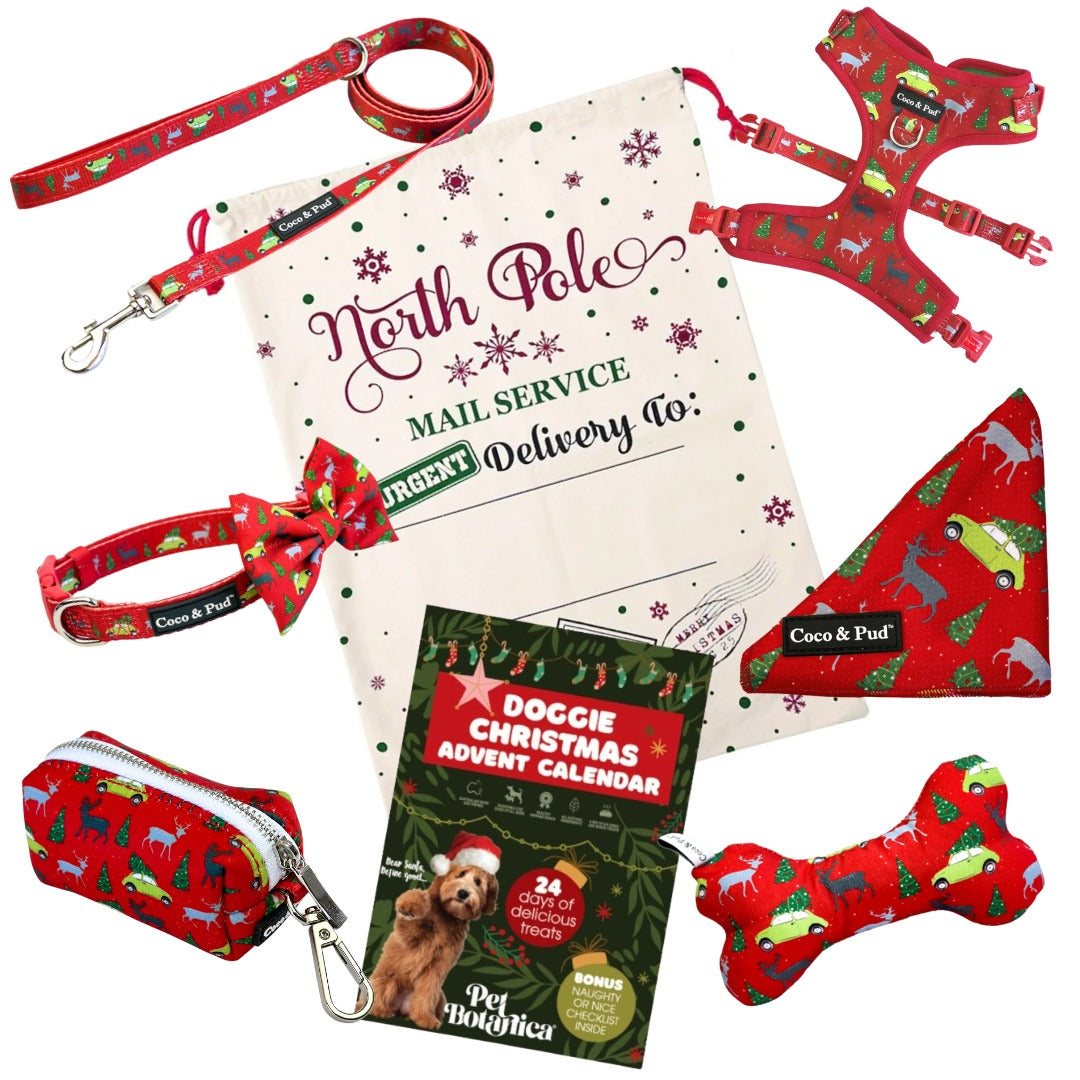 Christmas Advent Hamper Deck the Paws