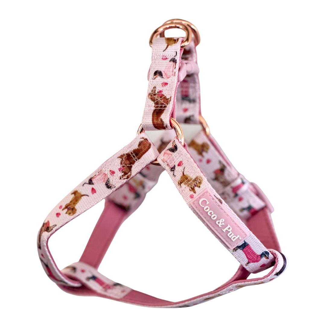 Coco & Pud Doxie Rose UniClip Lite Dog Harness