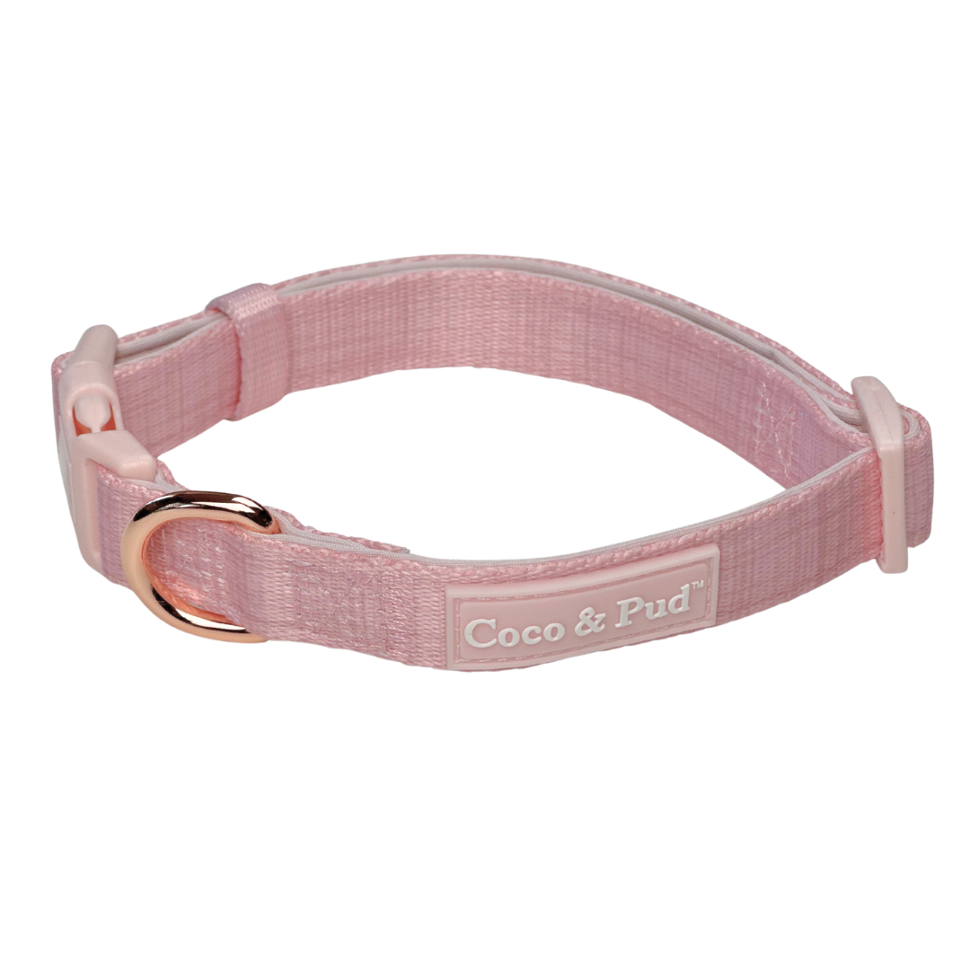 Coco & Pud Essential up Dog Collar in Blossom Pink