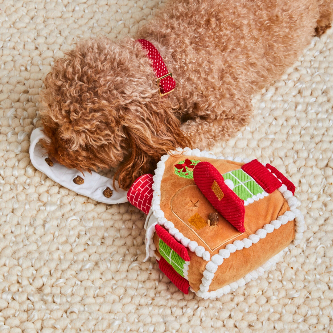 Coco & Pud Gingerbread House Interactive Snuffle Dog Toy with Cavoodle dog - The Foggy Dog