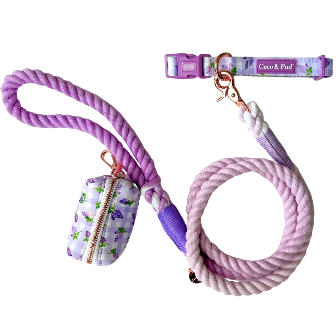 Gingham Lilac Collar Walk Set