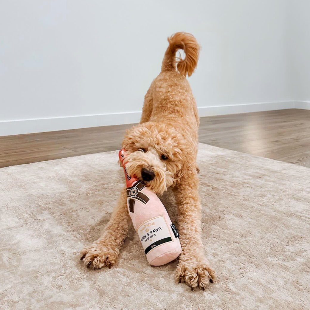 Coco & Pud Pink Champagne plush squeaker dog toy being played with by Cavoodle - Chewffon