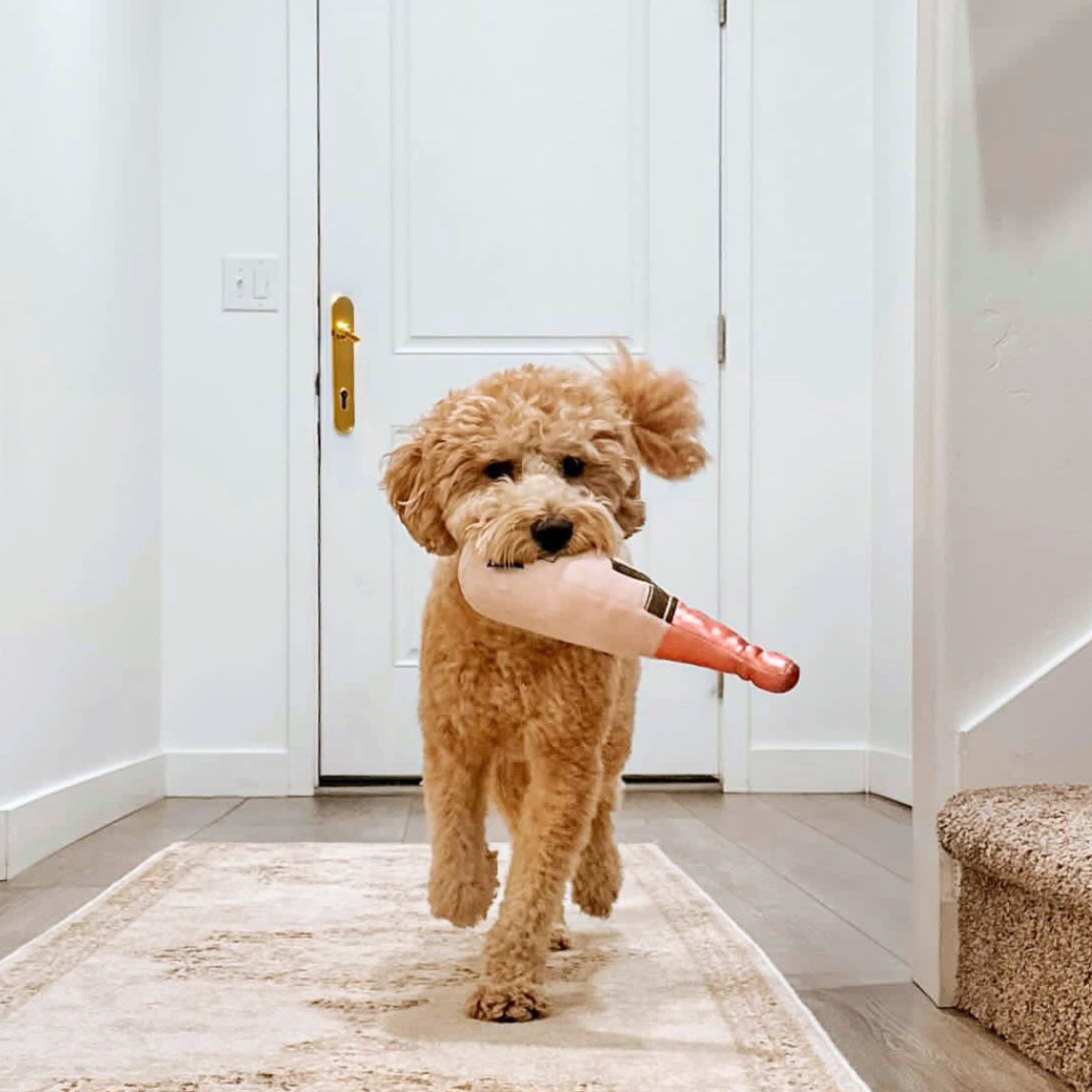 Coco & Pud Pink Champagne plush squeaker dog toy carried by a Cavoodle dog - Chewffon