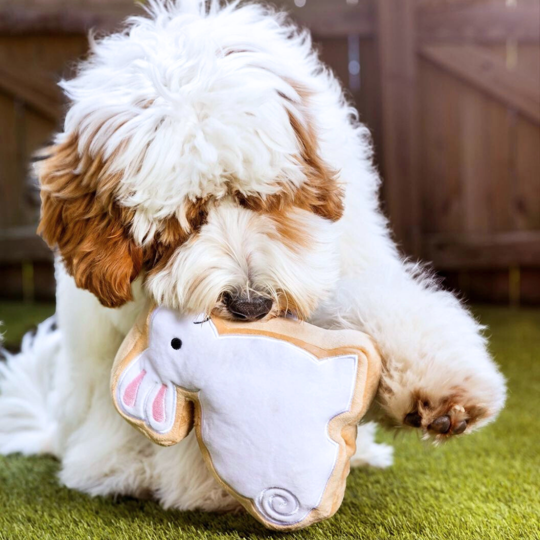 Coco & Pud Sugar Cookie Bunny Easter Dog Toy with cute puppy playing with toy - Midlee