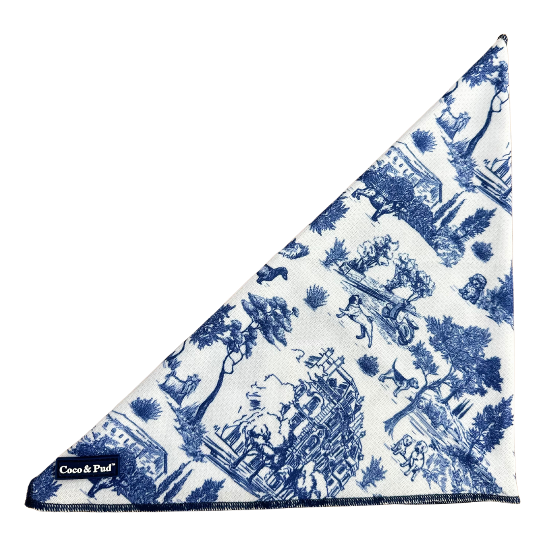 Coco & Pud Toile de Chien Navy Cat Bandana