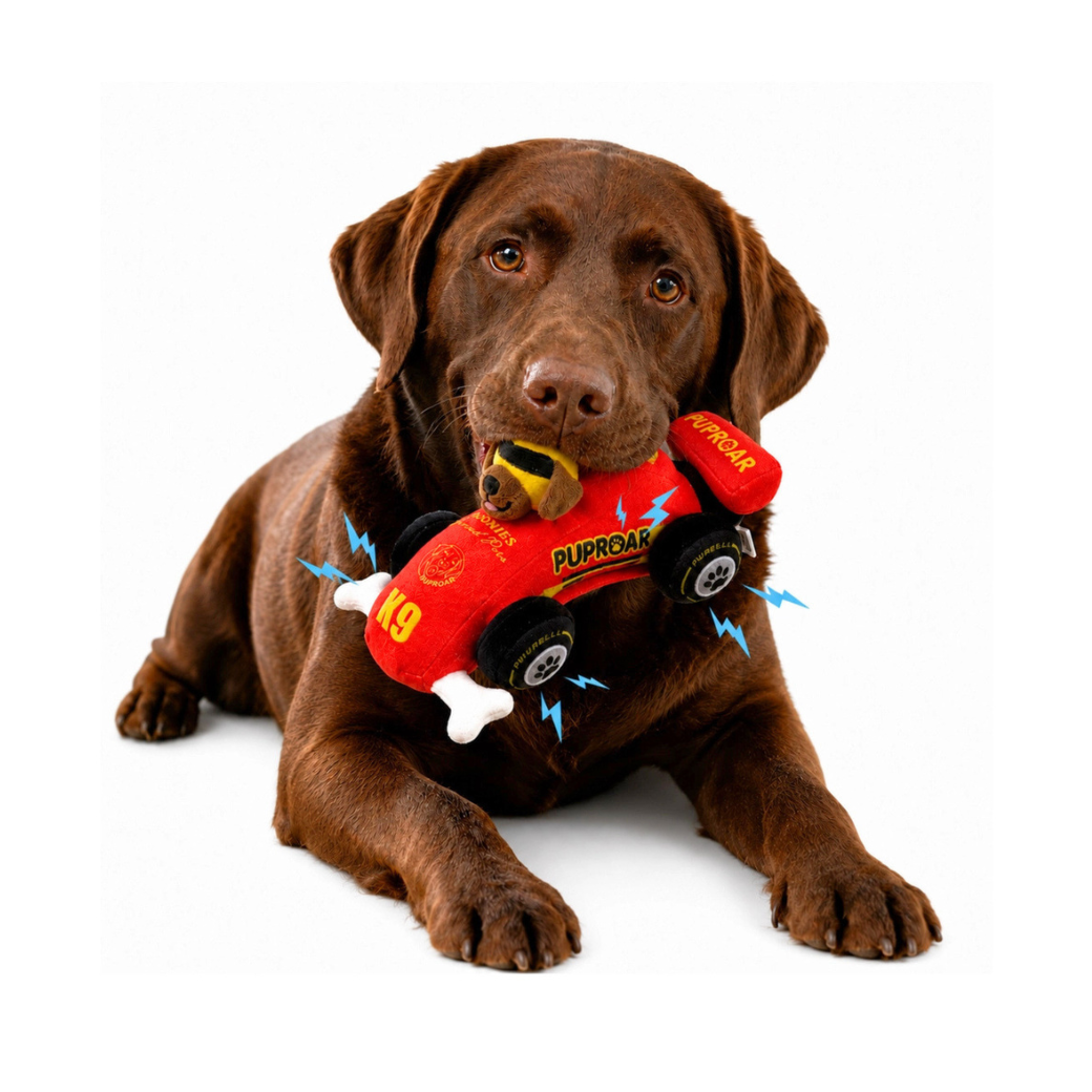 Coco & Pud - Puppy Prix Speeder Racecar plush Dog Toy. A brown Labrador retriever lying on a white background, holding a red Formula 1 race car plush toy in its mouth.