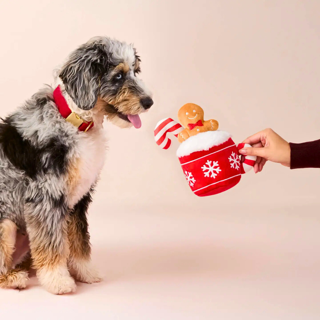 Coco & Pud - Dog with Christmas Interactive Snuffle Dog toy a gingerbread man toy inside a red mug held by a hand - The Foggy Dog