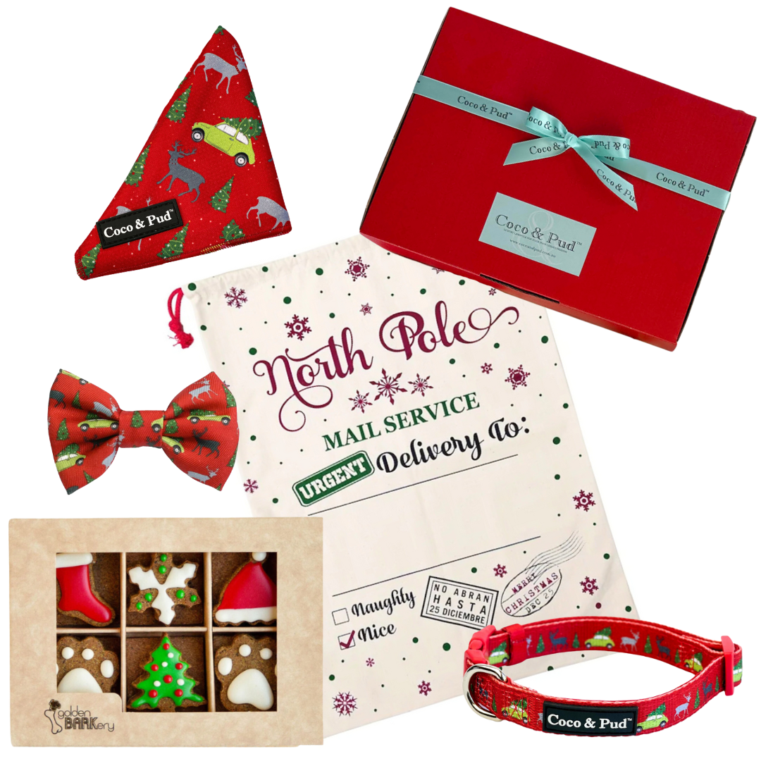Coco & Pud Dog Christmas Hamper Mini - Deck the Paws