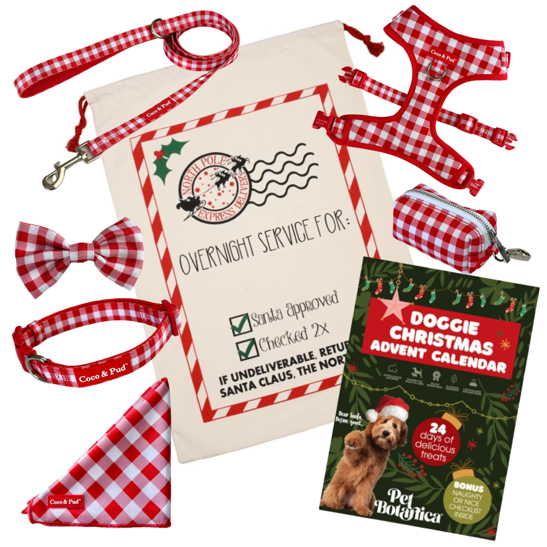 Coco and Pud Christmas Pet Botanica Advent Hamper - Red Gingham