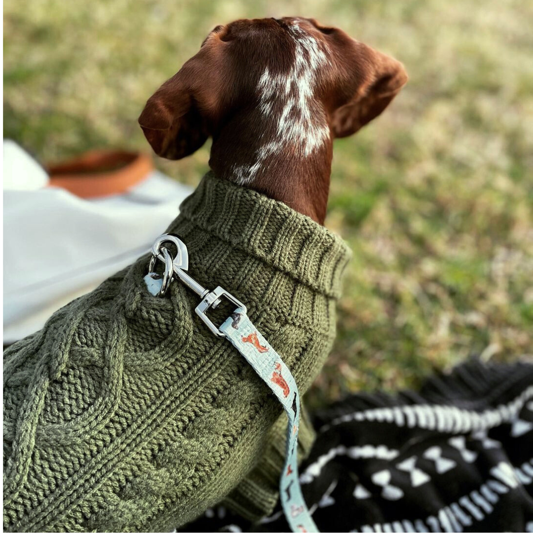 Coco & Pud Coco Cable Dog Sweater in Olive colour with Dachshund