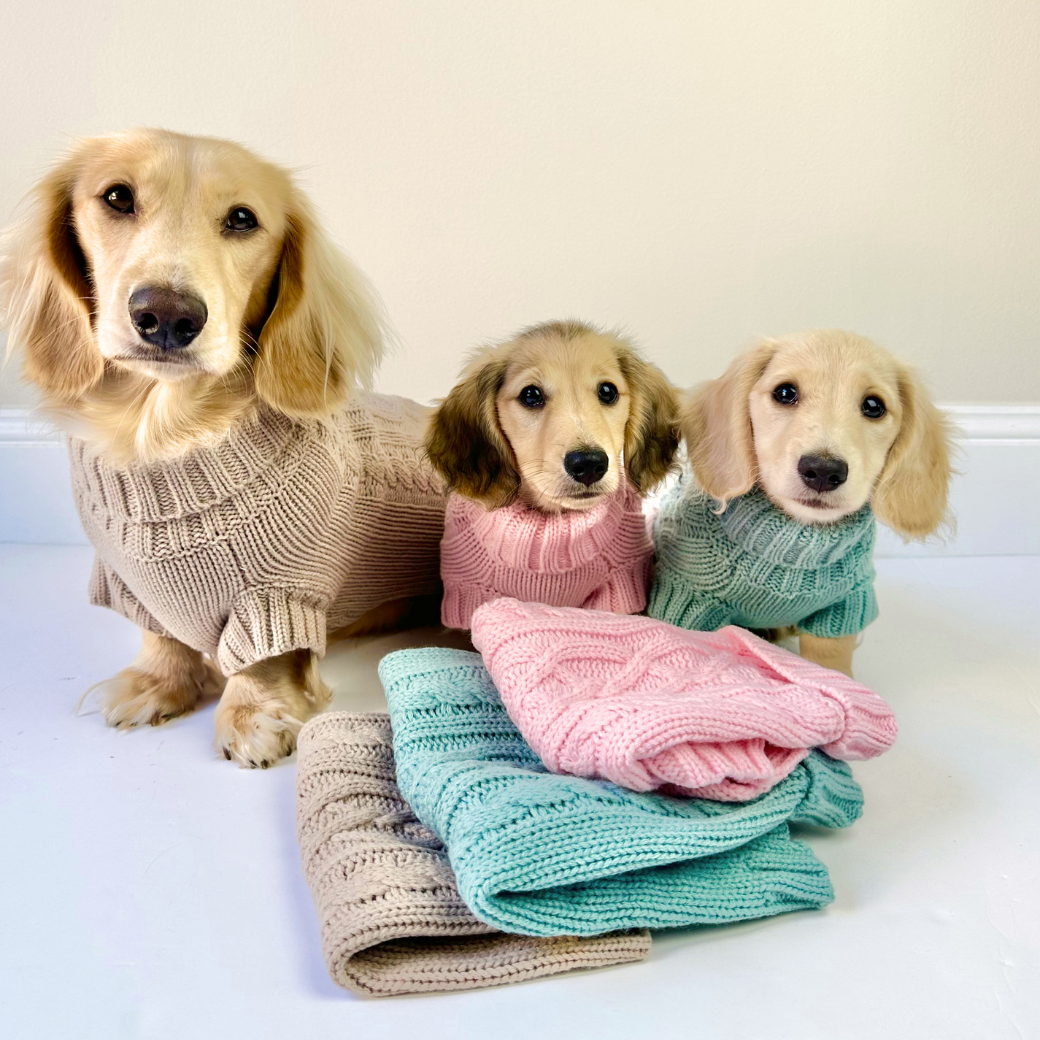 Coco & Pud - Three Dachshunds wearing cable knit sweaters in mocha, pink, and sea mist, with folded matching sweaters stacked in front.