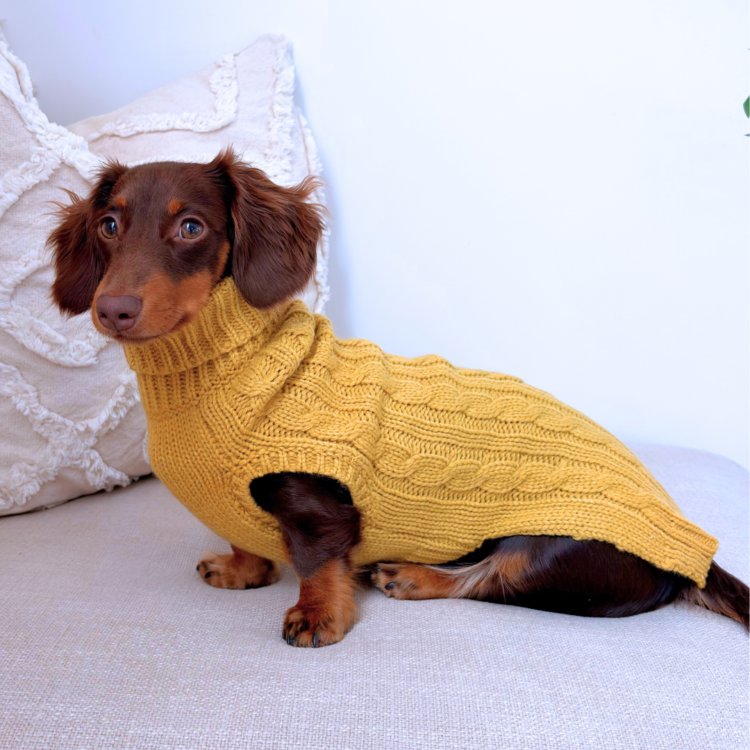 NEW! Coco & Pud Dachshund Cable Dog Sweater/ Dog Jumper - Ochre