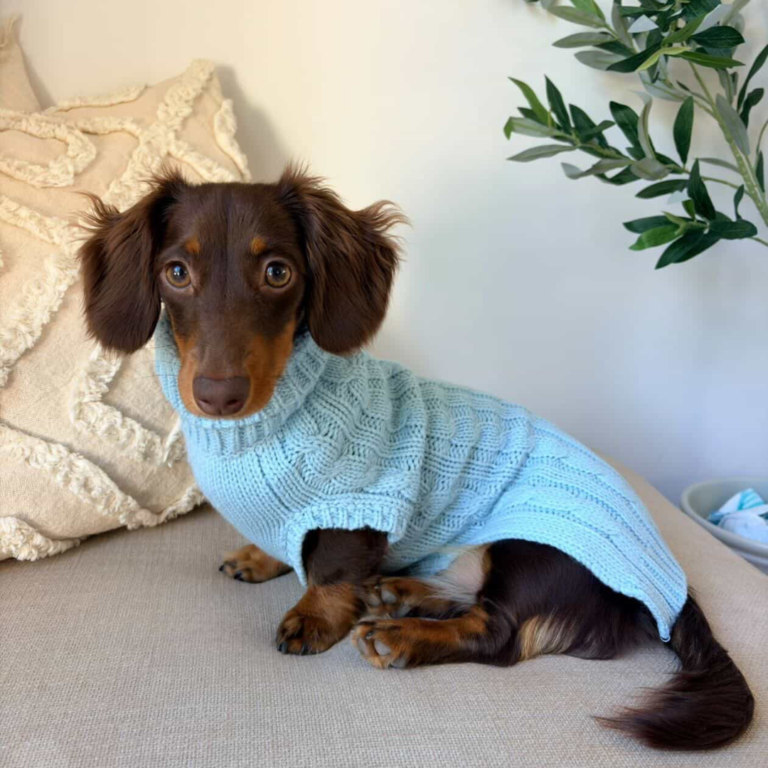 NEW! Coco & Pud Dachshund Cable Dog Sweater/ Dog Jumper - Sea Mist