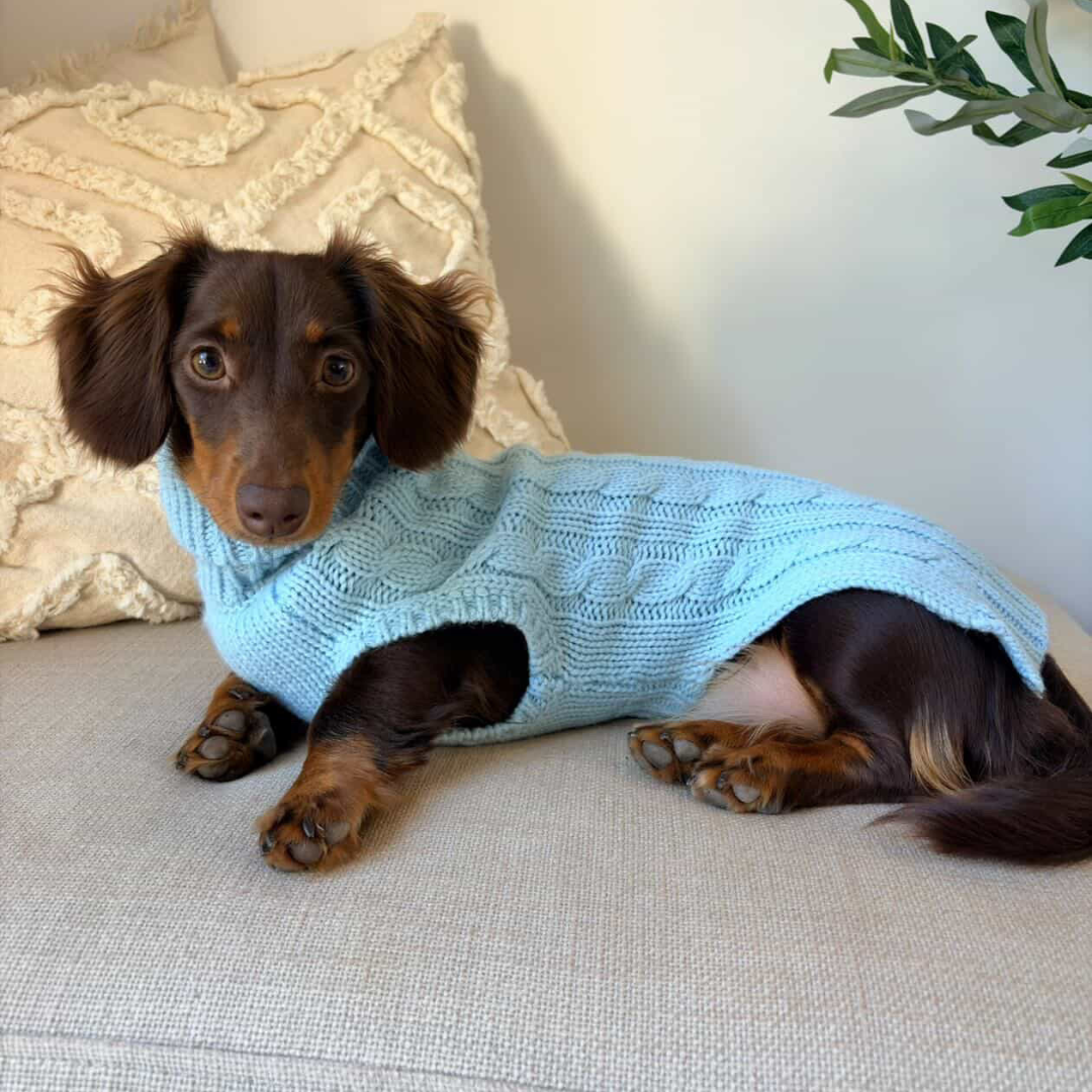 NEW! Coco & Pud Dachshund Cable Dog Sweater/ Dog Jumper - Sea Mist