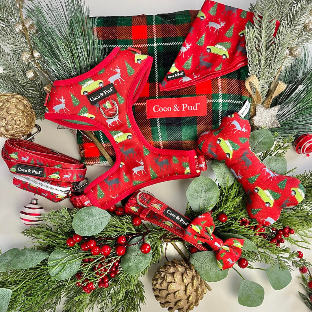 Coco & Pud Deck The Paws Christmas Collection - accessories for dogs