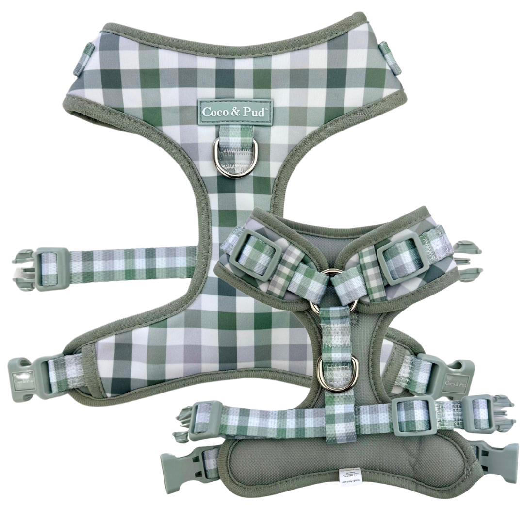 Gingham Olive Grey Adjustable Dog Harness