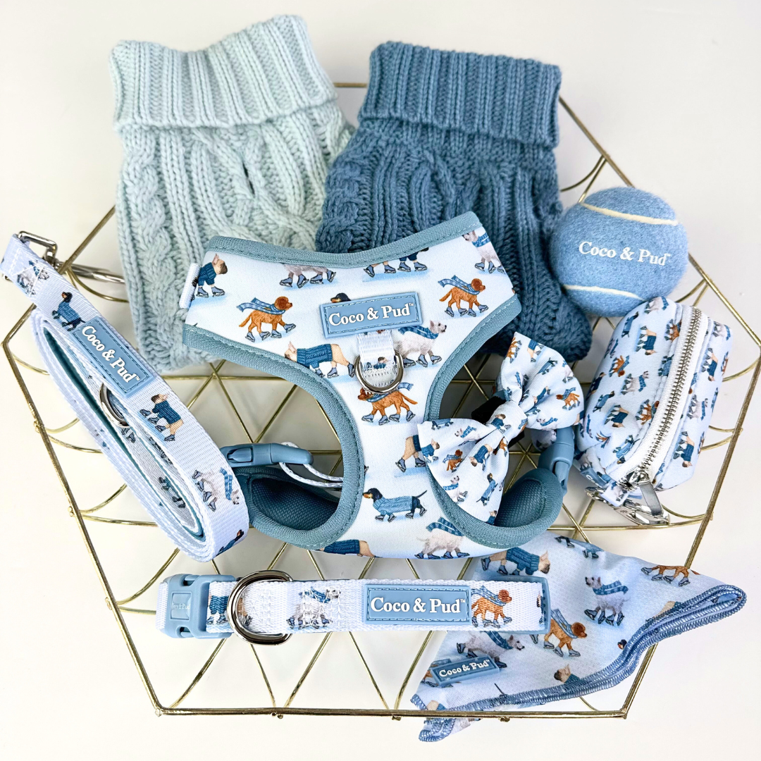 Coco & Pud Skating Dogs Collection with Coco Cable Dog Sweaters