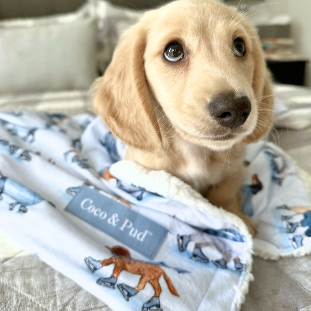Coco & Pud Skating Dogs Luxe Pet Blanket with Cooper the mini Dachshund