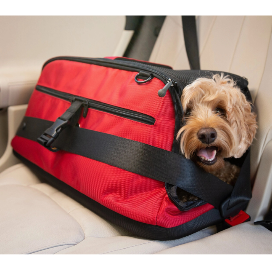 Coco & Pud Sleepypod Air Pet Carrier with Cavoodle dog inside - Strawberry Red