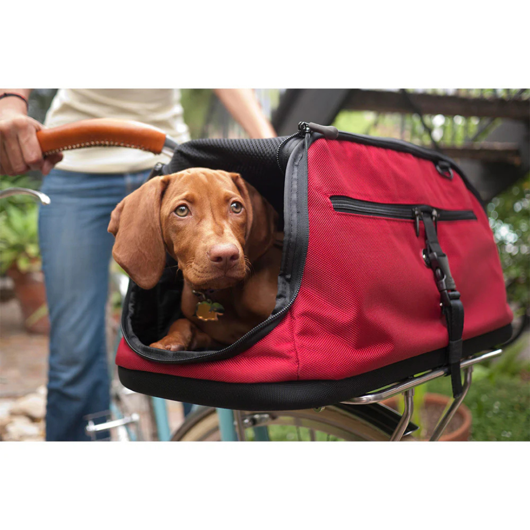 Coco & Pud Sleepypod Air Pet Carrier with Dachshund inside - Strawberry Red