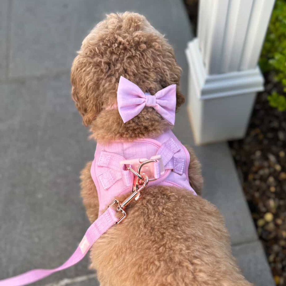 Coco & Pud Essential Pup Dog Bow Tie - Blossom Pink