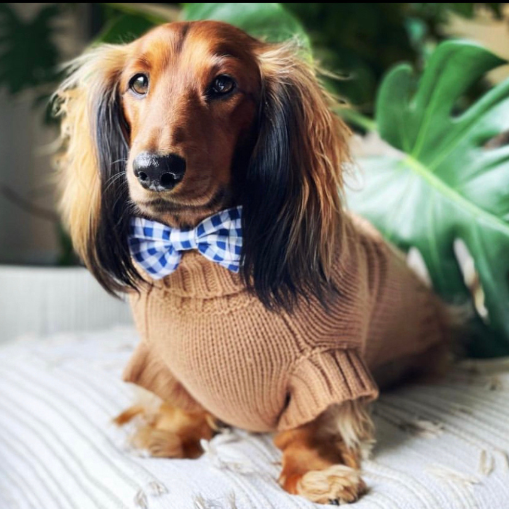Coco & Pud Coco Cable Dog Sweater/ Dog Jumper - Cinnamon