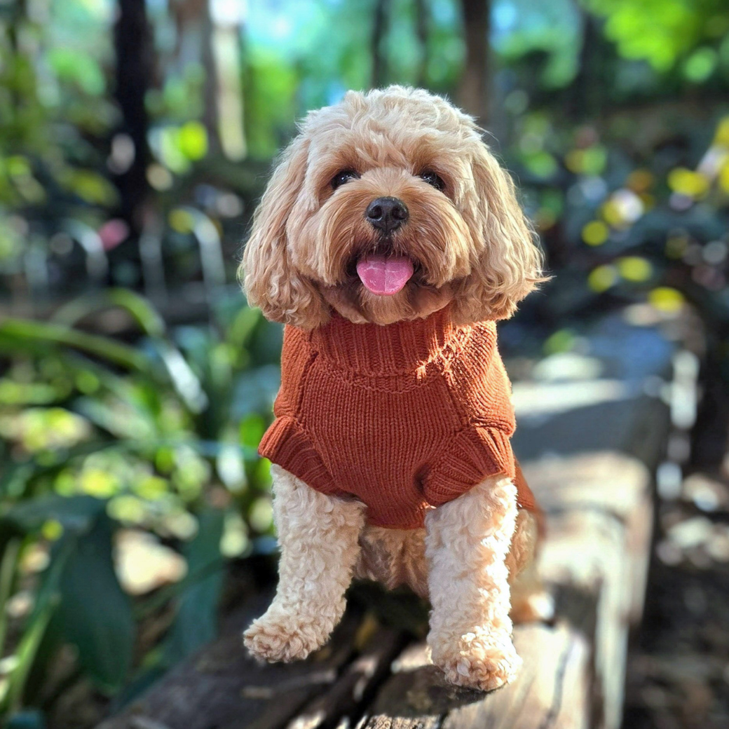 Coco & Pud Coco Cable Dog Sweater/ Dog Jumper - Sienna
