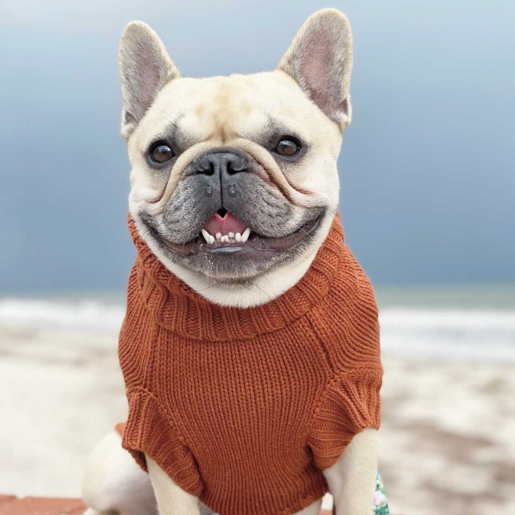 Coco & Pud Coco Cable Dog Sweater/ Dog Jumper - Sienna