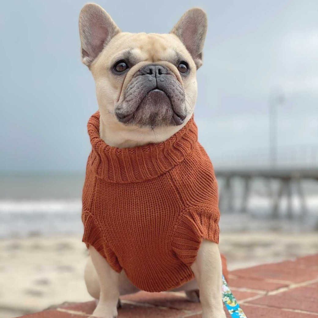 Coco & Pud Coco Cable Dog Sweater/ Dog Jumper - Sienna