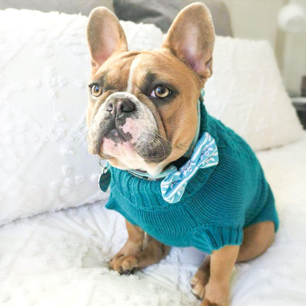 Teal Coco Cable wool dog sweater by Coco & Pud front