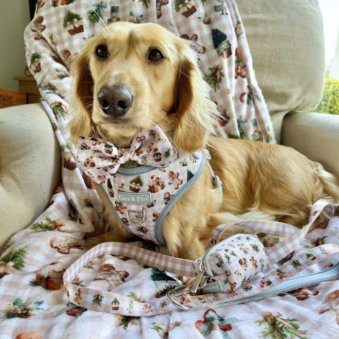 Coco & Pud A Highlands Christmas Luxe Blanket