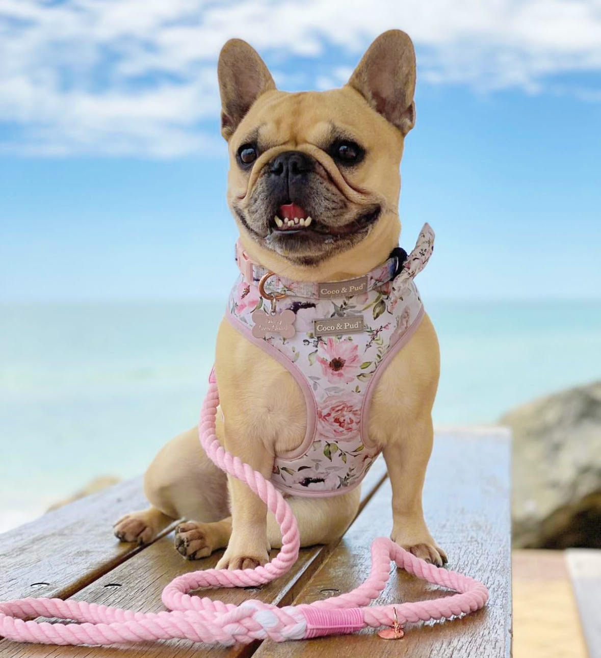 Le Jardin Adjustable Dog Harness by Coco & Pud 