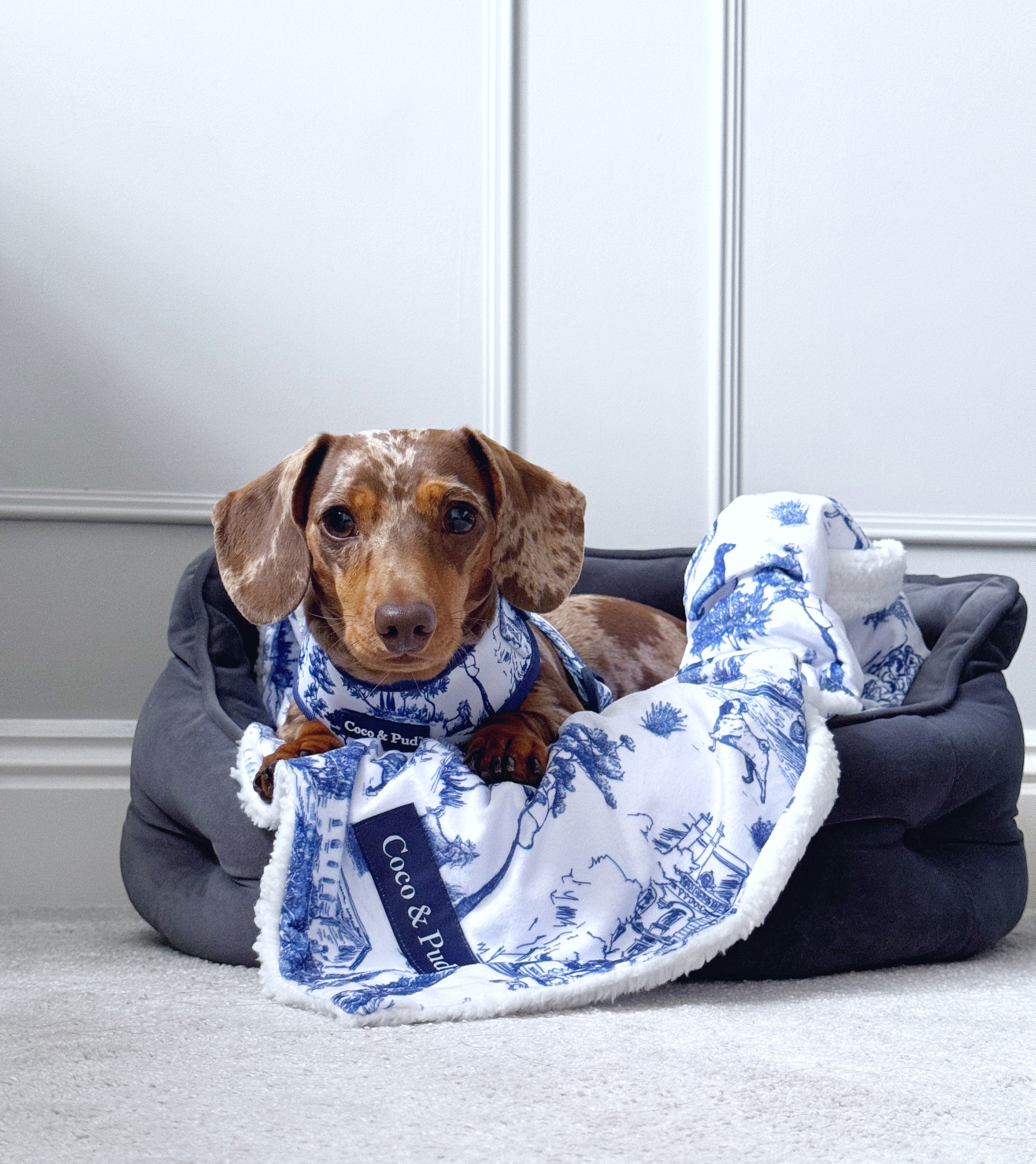 Toile de Chien Navy Luxe Pet Blanket
