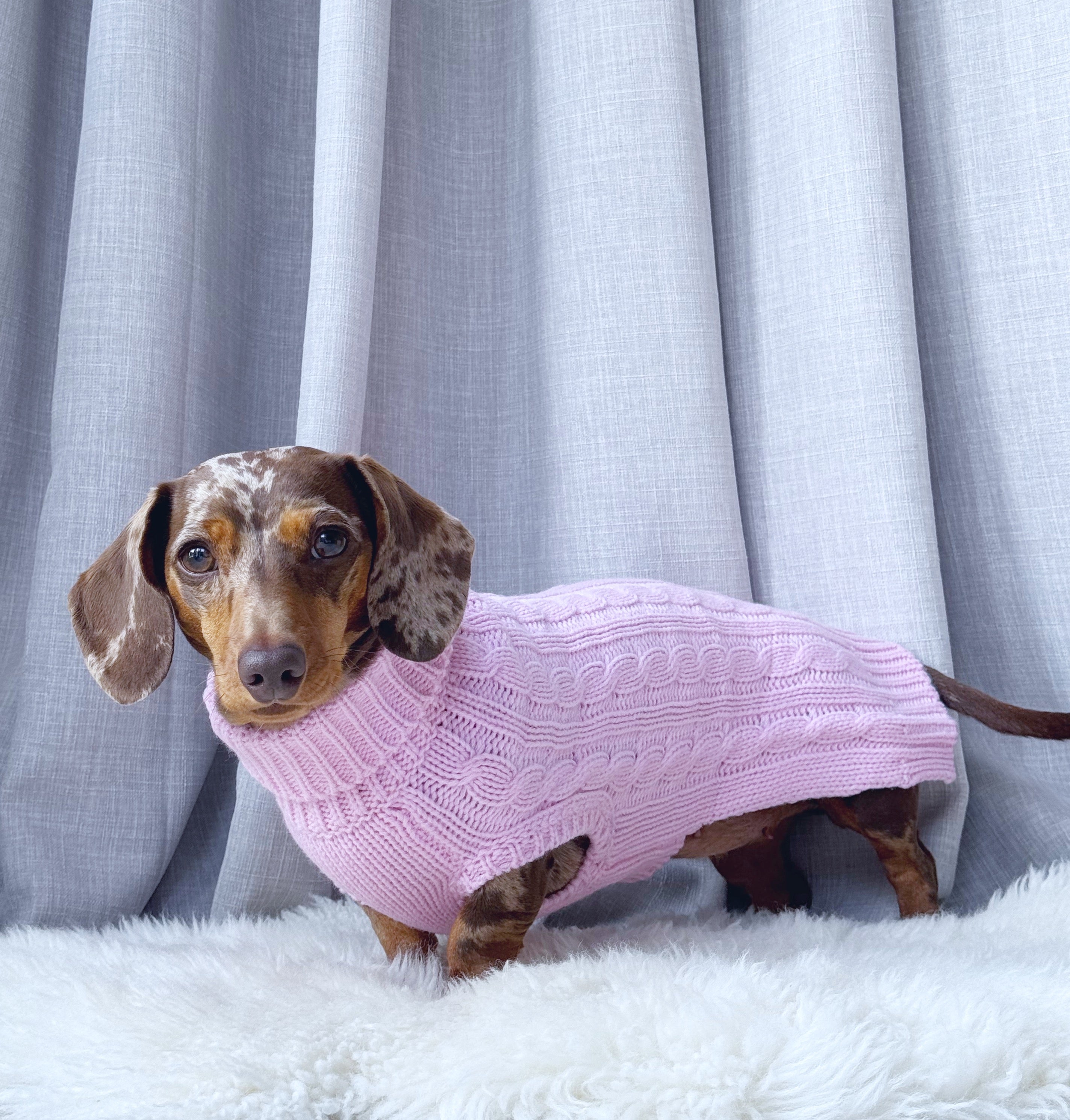 Coco & Pud Dachshund Cable Dog Sweater/ Dog Jumper - Light Pink