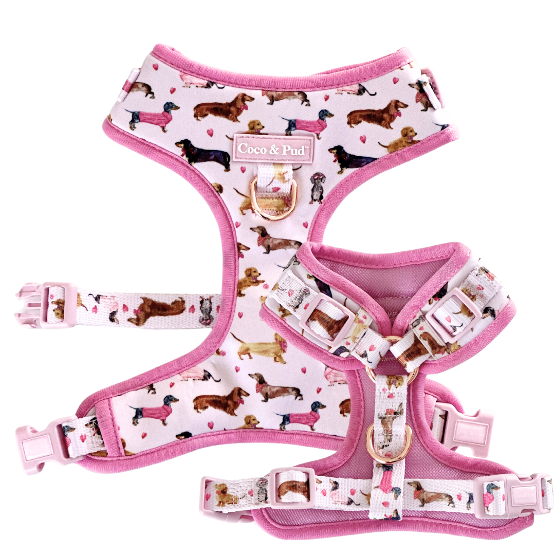 Coco & Pud Doxie Rose Adjustable Dog Harness