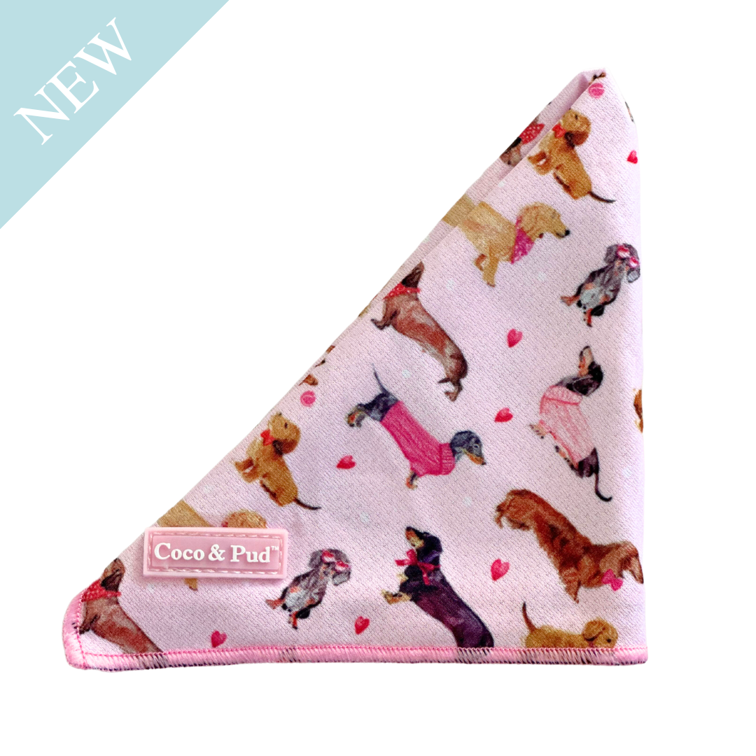 Coco & Pud Doxie Rose Dog Bandana